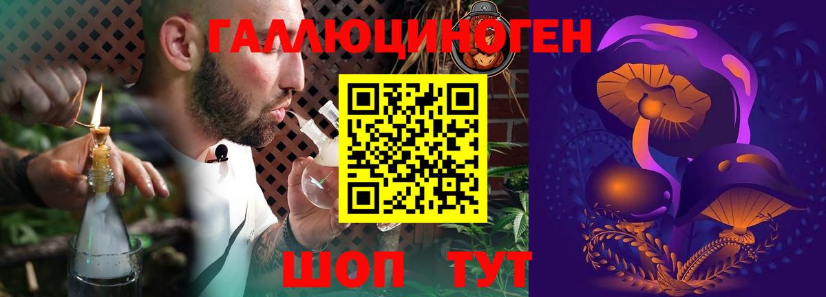 Сибай  Псилоцибиновые грибы Psilocybine cubensis  Галлюциногенные грибы Cubensis  Вход с VPN 